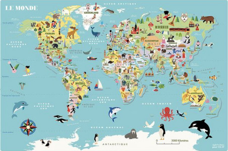Carte du Monde magnétique Ingela P. Arrhenius - Vilac